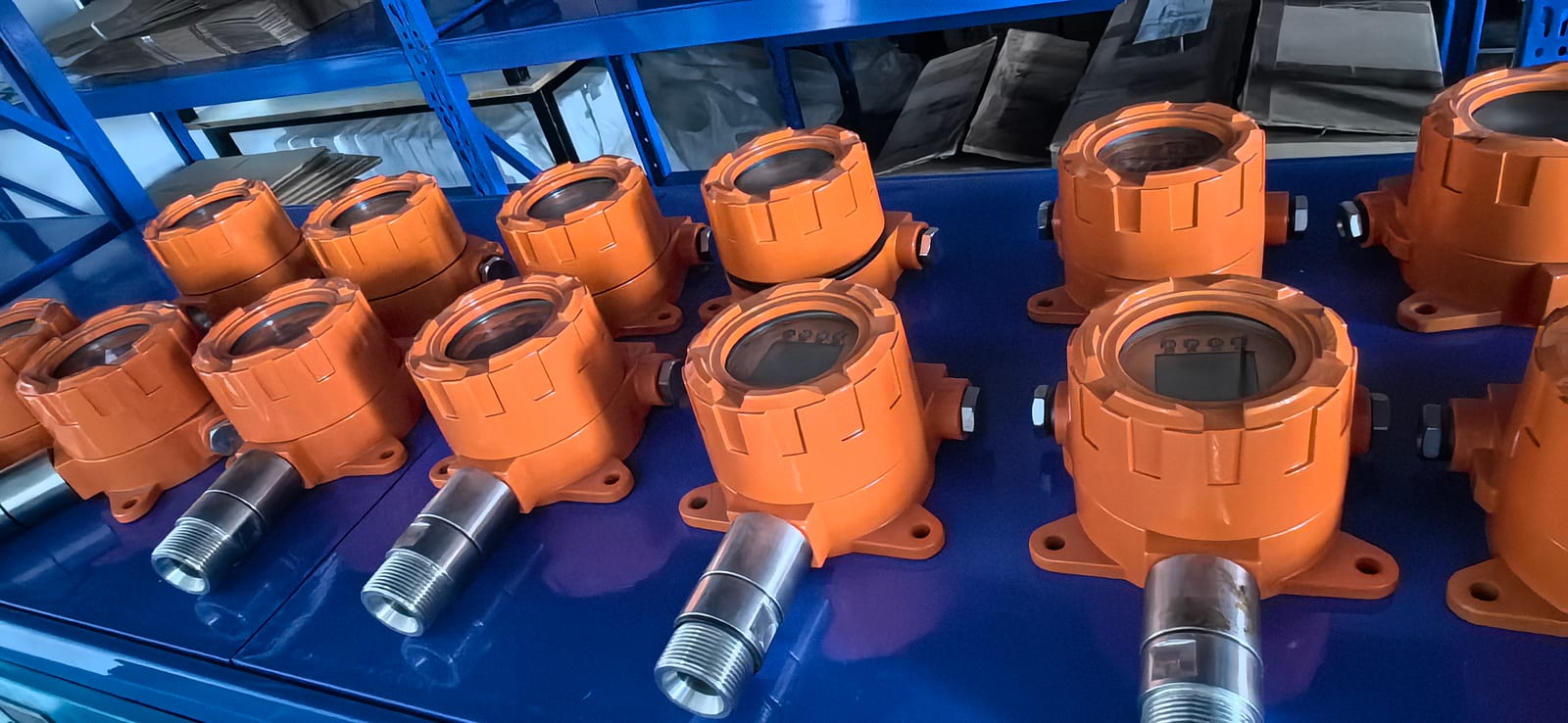Gas Detector Assembly